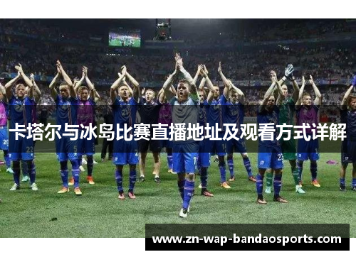 卡塔尔与冰岛比赛直播地址及观看方式详解 卡塔尔与冰岛比赛直播地址及观看方式详解