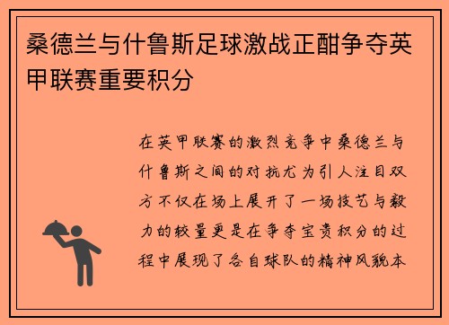 桑德兰与什鲁斯足球激战正酣争夺英甲联赛重要积分 桑德兰与什鲁斯足球激战正酣争夺英甲联赛重要积分